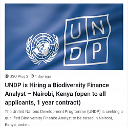The us government providing support from its embassy in Kenya